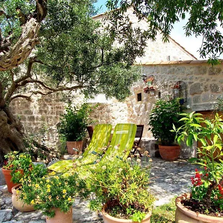 Ferienwohnung-olive * Orašac